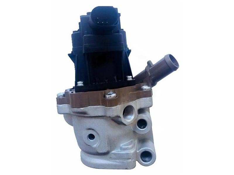 EGR valve
